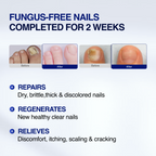 Finetop Premium Care Solution